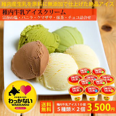 【稚内ブランド認定】稚内牛乳アイスクリーム10個セット(5種類×2個)送料無料